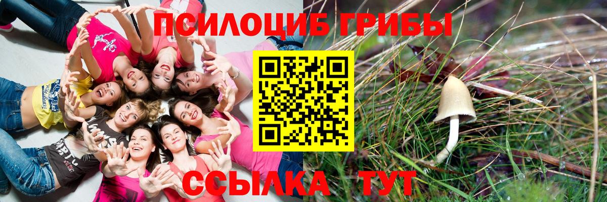 Клин  где купить   Вход с VPN  Псилоцибиновые грибы прущие грибы 