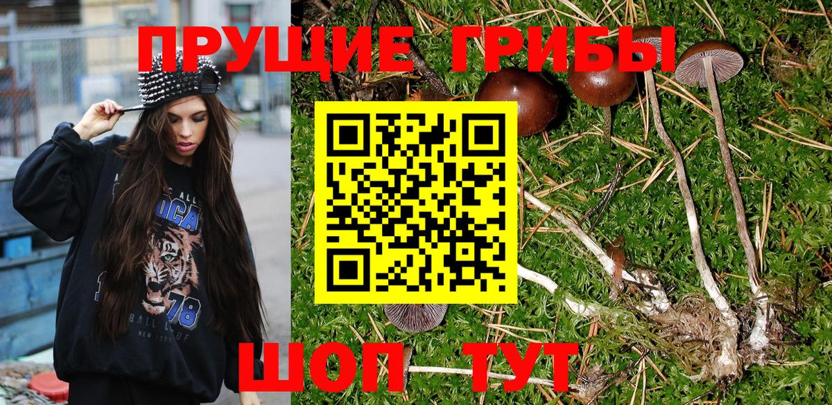 Псилоцибиновые грибы Magic Shrooms Клин